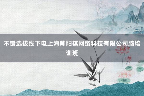 不错选拔线下电上海帅阳祺网络科技有限公司脑培训班